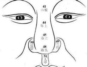 福鼻面相|面相图解 相学最有福气的7种鼻子